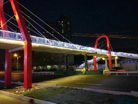 Paso peatonal prefabricado de Nanjing